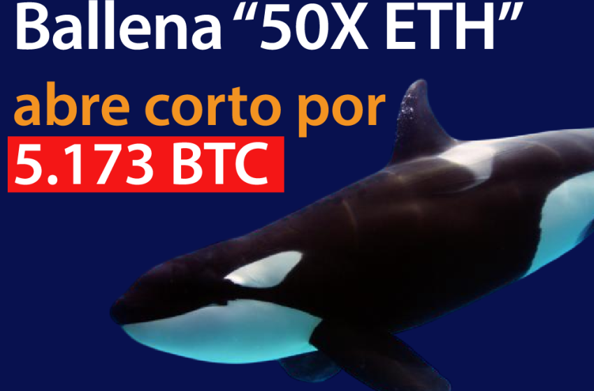 Ballena abre posición corta por 5.173 bitcoin ¿Insider o Manipulación?