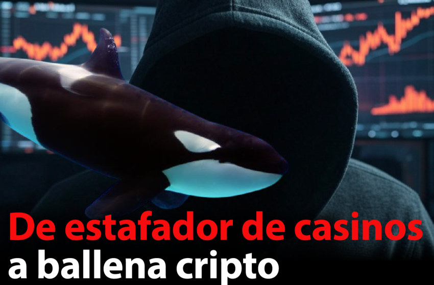 Identifican la ballena cripto de posiciones apalancadas