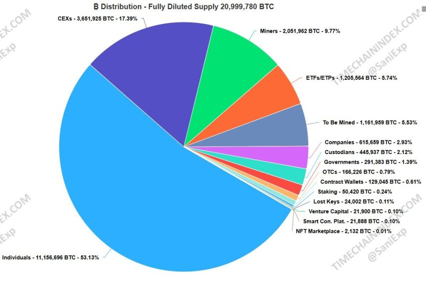 ¿Quién tiene más Bitcoin? Así están distribuidos…