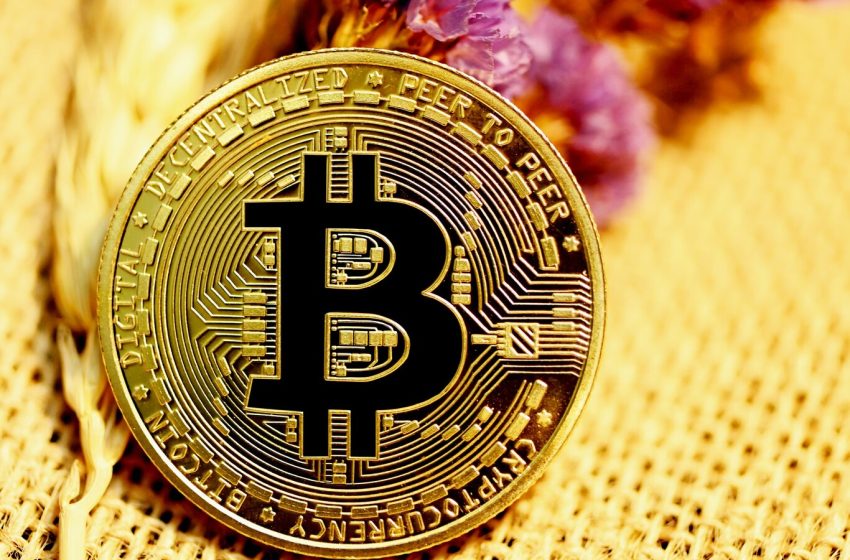  HUT8 y Bitfarm han superado a bitcoin desde el halving