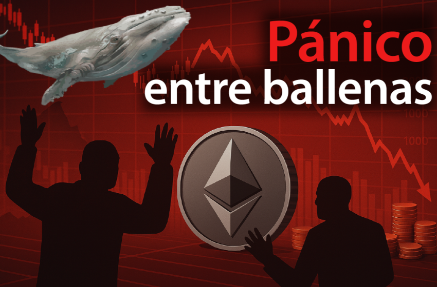 Ballenas de Ethereum huyen con pérdidas millonarias