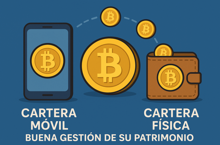  Guía básica para guardar tus bitcoin