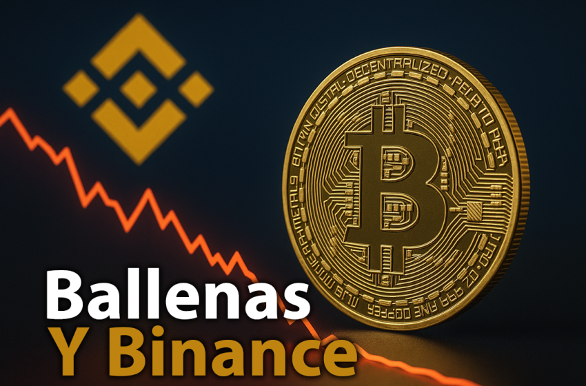 Binance y las ballenas bajistas
