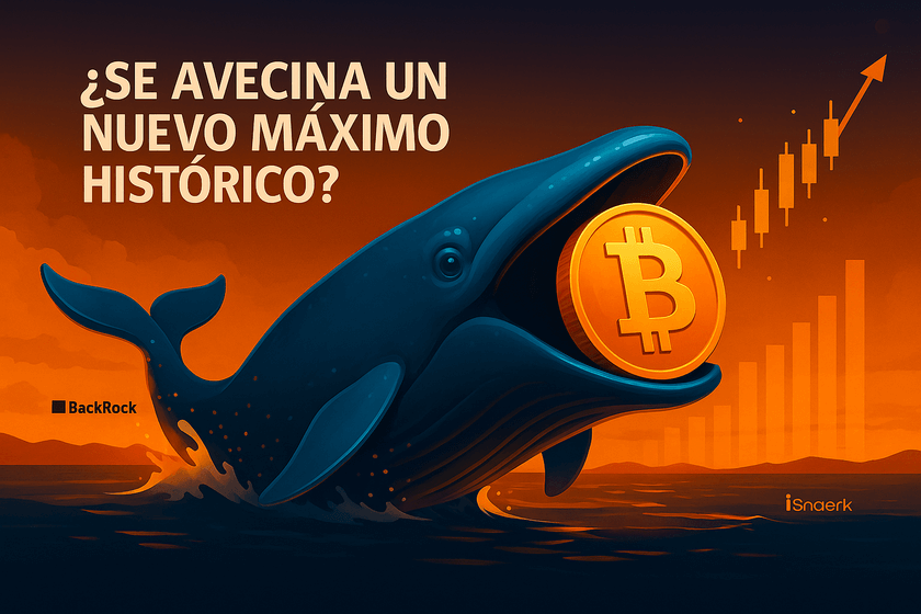 Las ballenas se activan