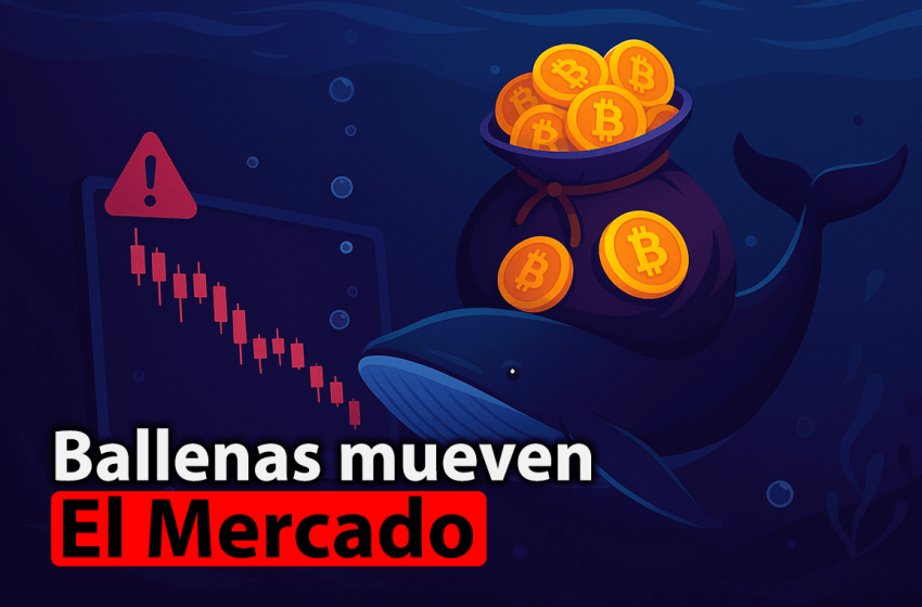  Bitcoin en vilo: caída en futuros y señales de venta desde ballenas