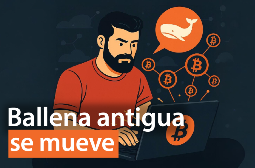 Ballena antigua de Bitcoin mueve 80.000 BTC