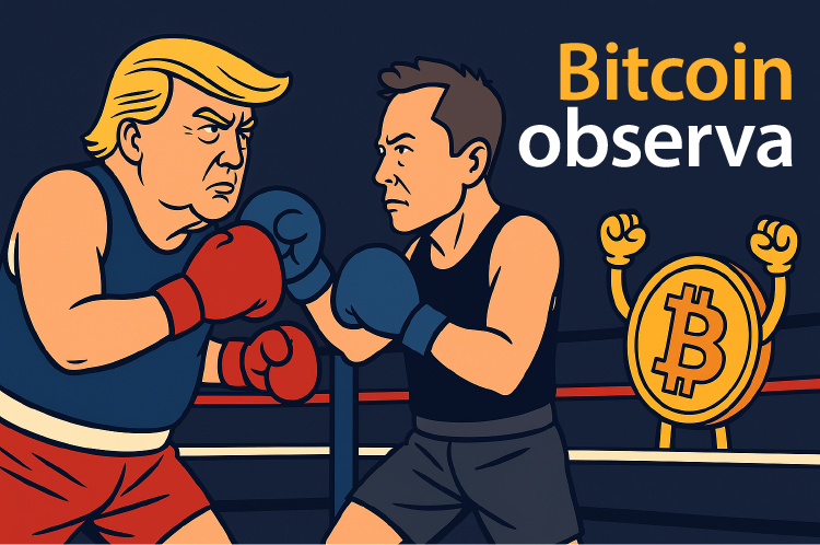  Trump vs. Musk: ¿Impulso para Bitcoin?