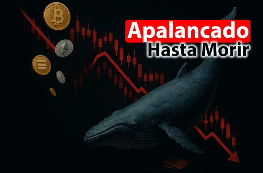 Ballena cripto pierde $334 millones por apuestas apalancadas