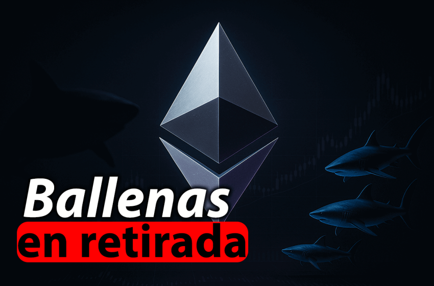 Tiburones impulsan a Ethereum mientras las ballenas se retiran