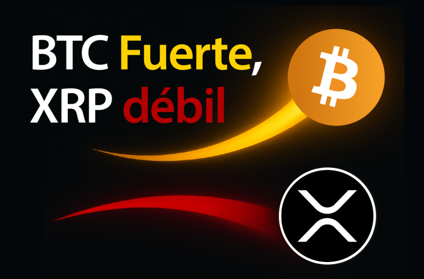 XRP frente a Bitcoin: señales de debilidad en agosto