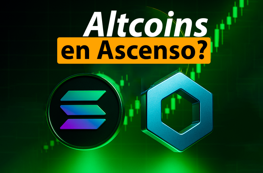 Tokens estadounidenses bajo la lupa en plena temporada de altcoins