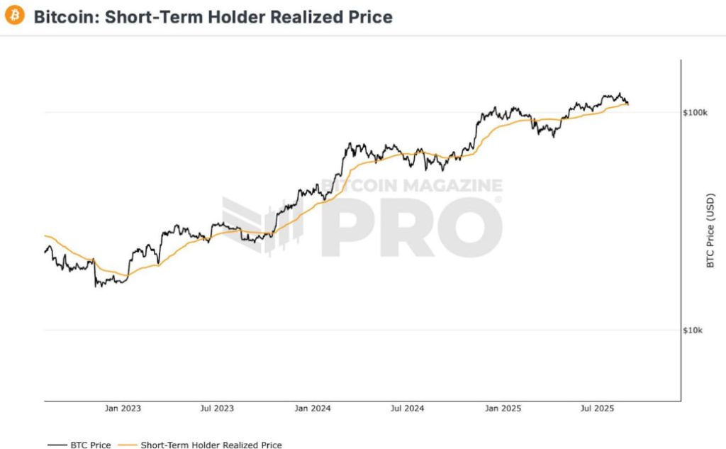 bitcoin bitfinex holders a corto plazo