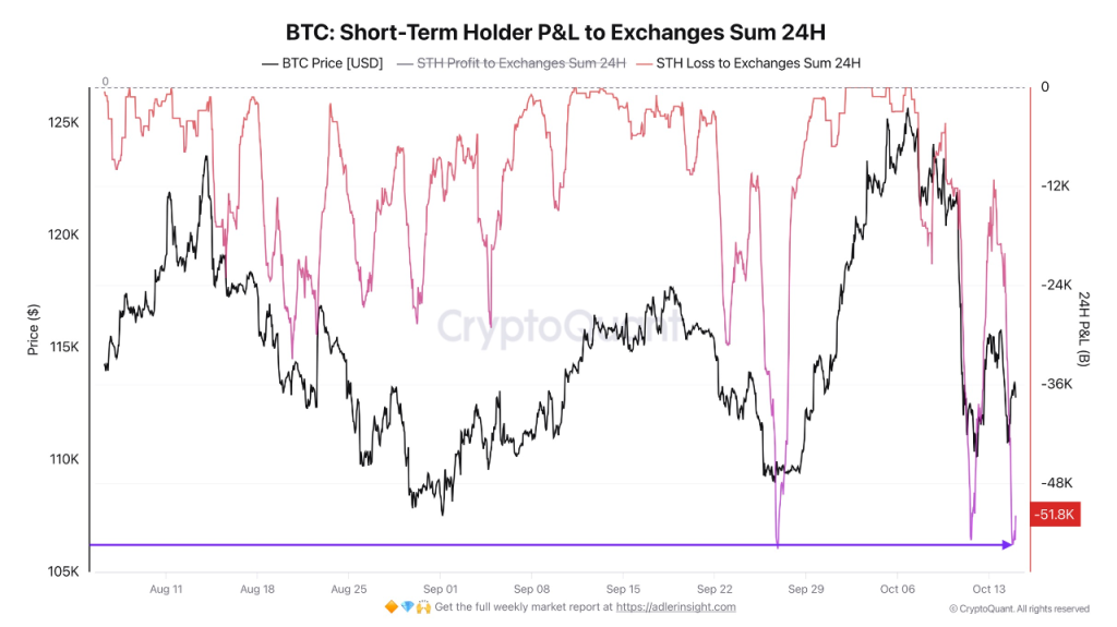 bitcoin holders corto plazo