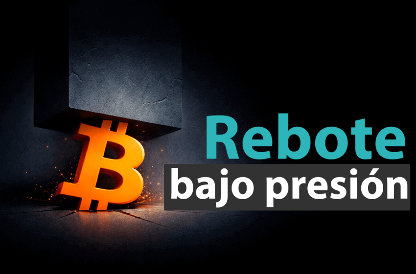  Bitcoin rebota 21%: ¿señal de fortaleza o rally de mercado bajista?